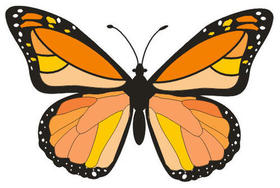 【30段日常趣味视频】--Day3-15-【butterflies】