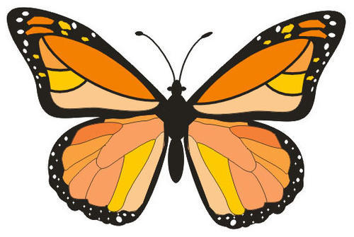 【30段日常趣味视频】--Day3-15-【butterflies】 商品图0