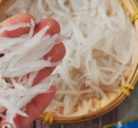  别看银鱼小小个，可别忽略了它的营养价值 