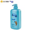 飘柔家庭兰花长效清爽去屑洗发露750ml 商品缩略图5