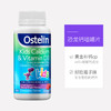 Ostelin奥斯特林澳洲儿童vd3恐龙钙90粒水果味碳酸钙钙片 商品缩略图1