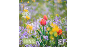 【花丘•心语】