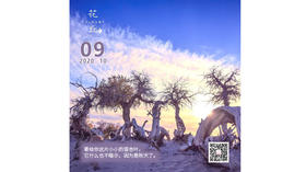 【花丘•心语】