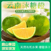 【云南玉溪冰糖橙】云南绿皮冰糖橙 果肉水嫩 橙香浓郁 清甜多汁 现摘现发 多规格可选 商品缩略图2