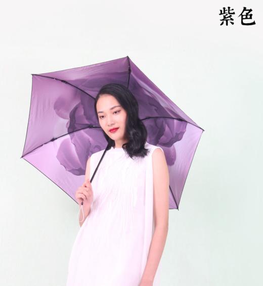 “花非花”时尚印花伞 商品图4