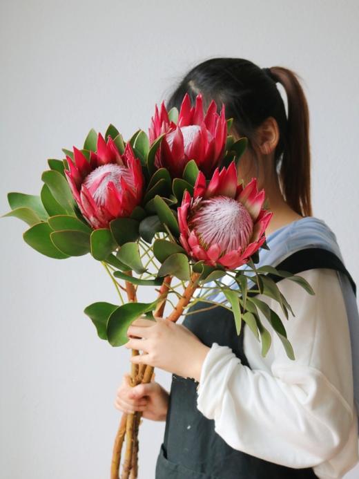 【周四团购】南非帝王花128元 2人团购 商品图1