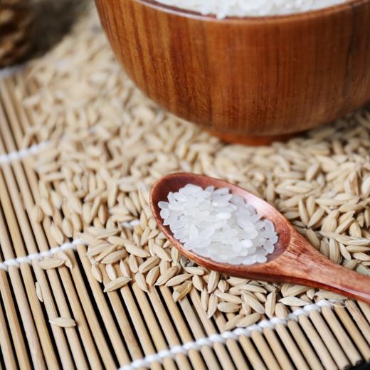 拉林河稻花香米5kg （大米） 商品图4