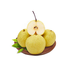 丰县酥梨 10斤装