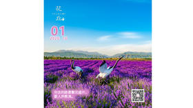 【花丘•心语】