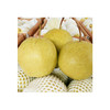 丰县酥梨 10斤装 商品缩略图1