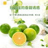【云南玉溪冰糖橙】云南绿皮冰糖橙 果肉水嫩 橙香浓郁 清甜多汁 现摘现发 多规格可选 商品缩略图3