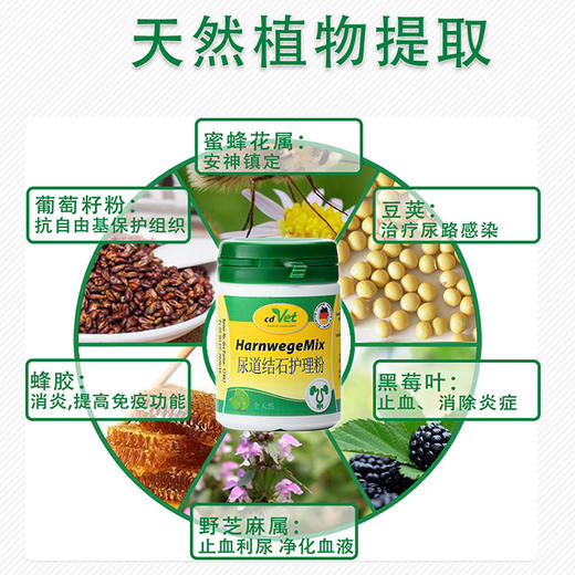 德国施德维特cdvet尿道结石护理粉膀胱炎泌尿结晶保护泌尿道 商品图2