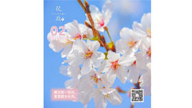 【花丘•心语】