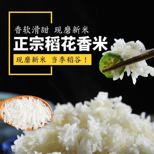 拉林河稻花香米5kg （大米） 商品图2
