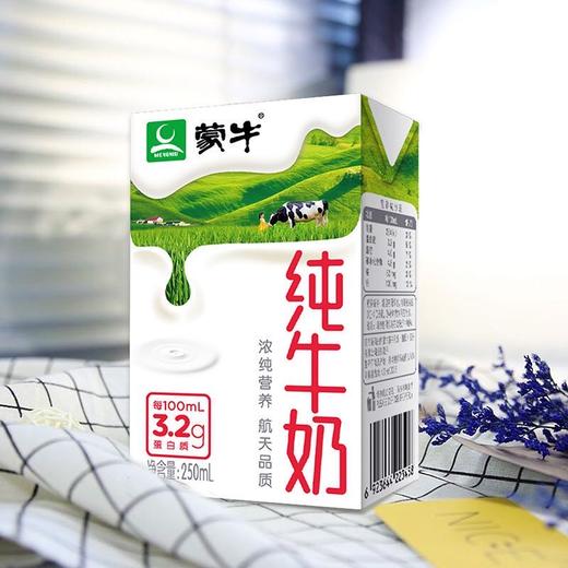 蒙牛纯牛奶250ml 商品图1