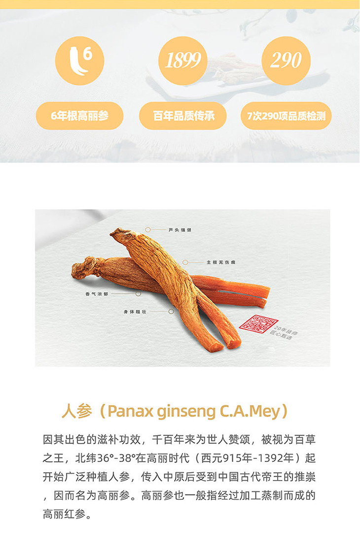 韩国进口高丽红参 正官庄原支参【良参】