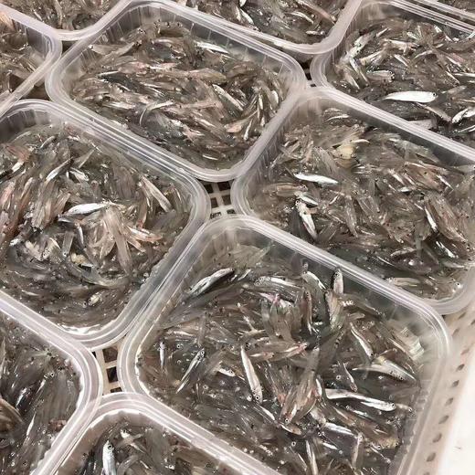 野生东山岛小银鱼| 合作生产 * Wild Dongshan Island seafood | Coproduction 商品图3