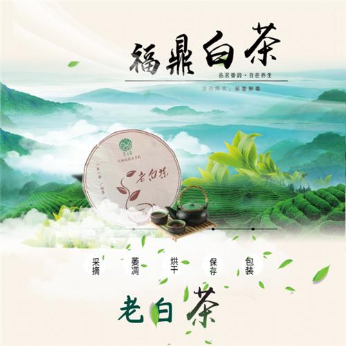福鼎白茶（箱） 商品图0