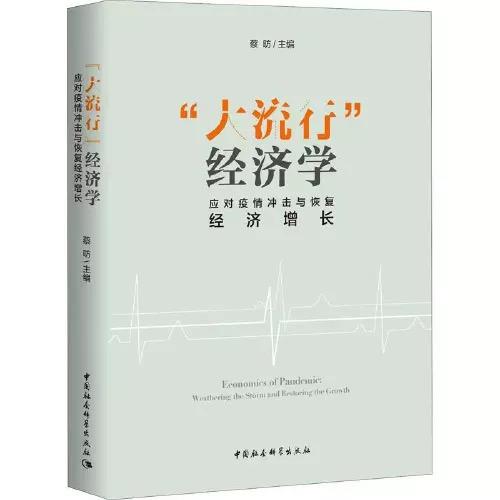 “大流行”经济学 商品图0