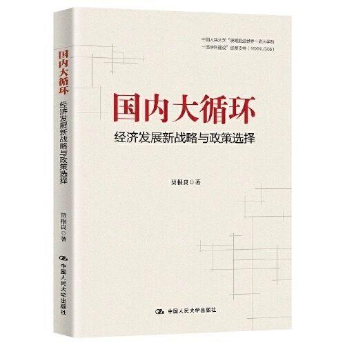 国内大循环：经济发展新战略与政策选择 商品图0