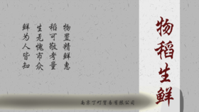  我与丁一夏的故事 1