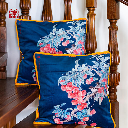 荔枝抱枕套（无芯） 商品图1