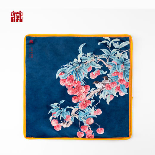 荔枝抱枕套（无芯） 商品图0