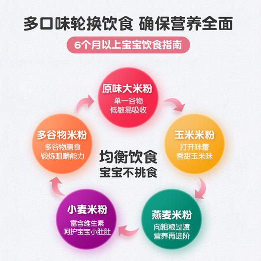 Earth's Best爱思贝地球世界宝宝高铁米粉辅食米糊婴儿有机大米粉 商品图1