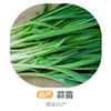 蒜苗（自产）250g 商品缩略图0