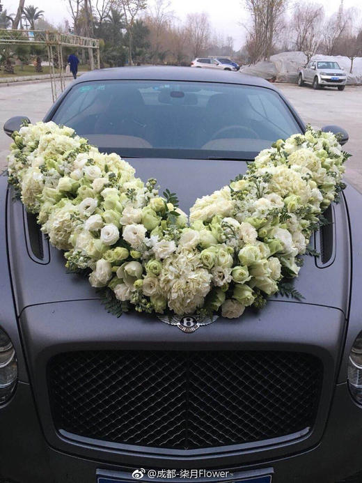 V字型018款 商品图0