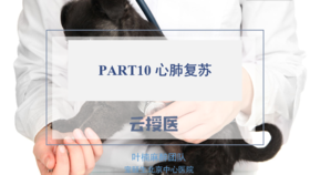 麻醉10 常见麻醉并发症处理（下）