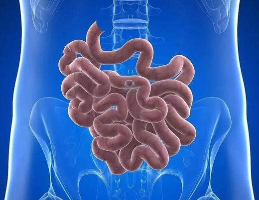 第06课：小肠经路线重要大穴 商品图0