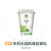 牛奶乐园风味发酵乳 商品缩略图0