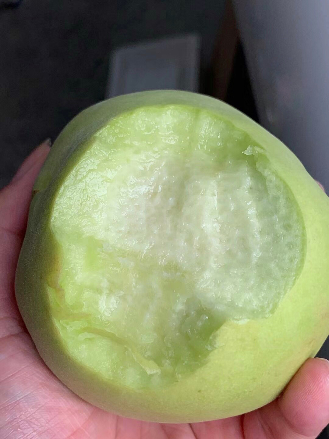 稀罕货#云南秋脆甜桃 唯一的绿桃品种, 有它在