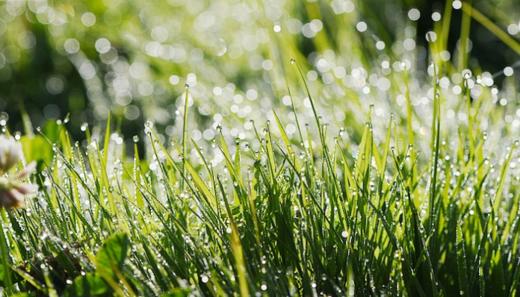 寒露 | 天气寒不寒身，做好这些养护温暖整个秋冬 商品图0