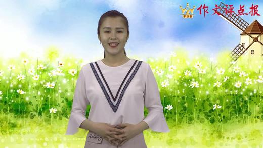 情节设计三法 商品图0