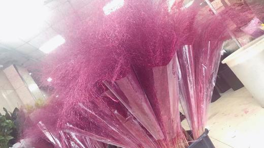 【周四团购】粉黛一把59.9元 2人拼团 商品图1