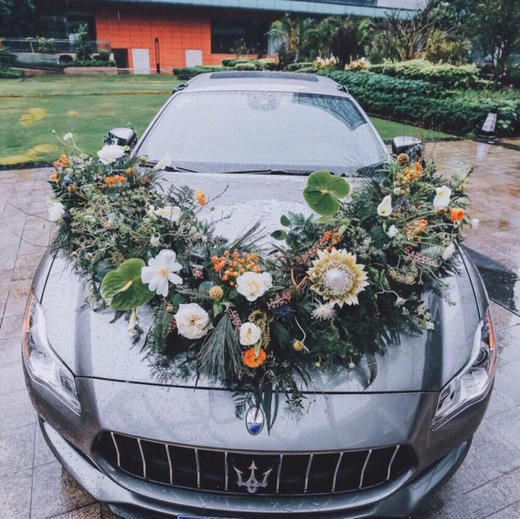 V字型037款 商品图0