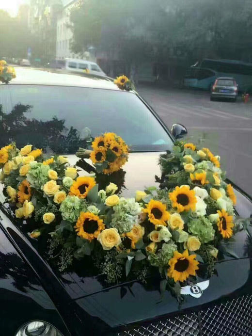 V字型 025款 商品图0