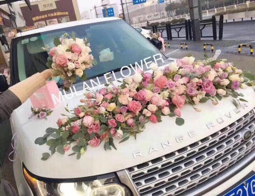 高定008款 商品图0