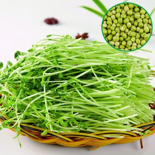 豌豆芽 商品图0