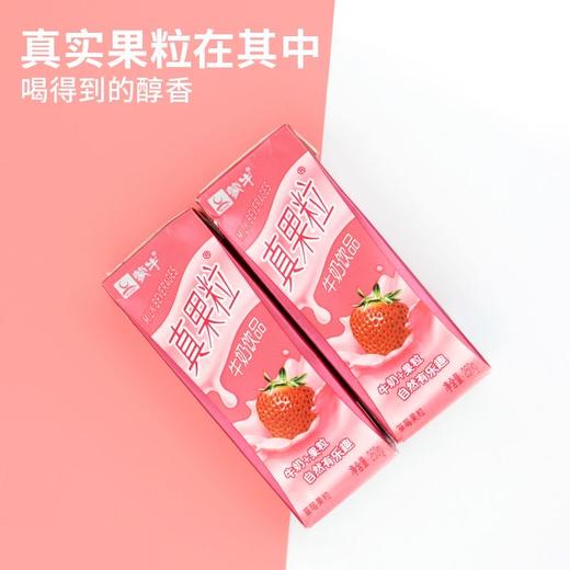 蒙牛真果粒草莓味250ml 商品图2