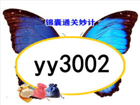 lme315-yy3002 《早上好》