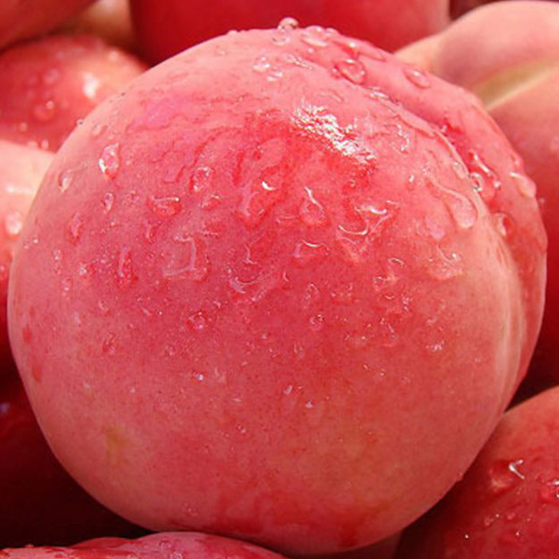 顺丰包邮 现摘现发 山东金秋红密大红桃 鲜嫩多汁 脆甜爽口