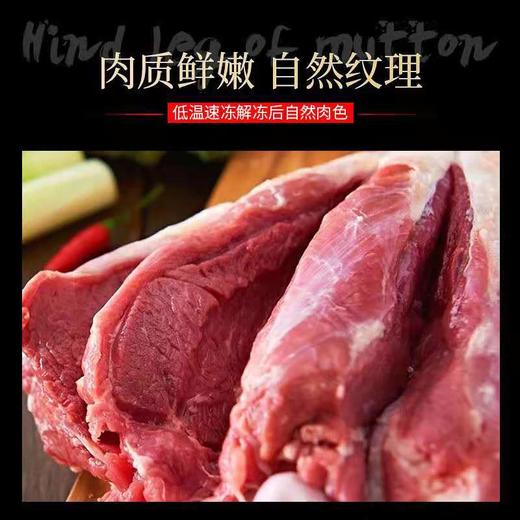 江布拉克羊羔肉 2.5kg、5kg、独立羊腿 赠送肉苁蓉片100g，枸杞50g 商品图2