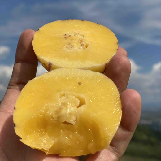 【版纳树熟人参果】 自然成熟 香甜多汁 无核 富硒 普通快递包邮 商品图7