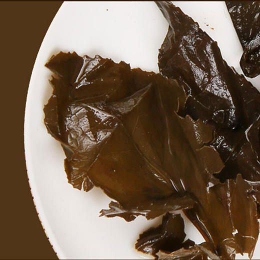 黑茶 白沙溪 茯缘  2020年茯砖茶 750g 商品图1