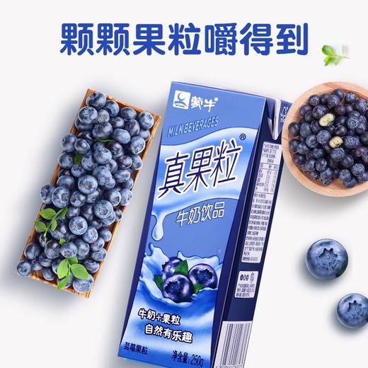 蒙牛真果粒蓝莓味250ml 商品图2