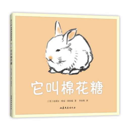 它叫棉花糖 3-6岁 克莱尔·特雷·纽伯瑞 猫 兔子 爱 亲密 幸福 温暖 友谊 母爱 二胎 凯迪克大奖木炭画 商品图4
