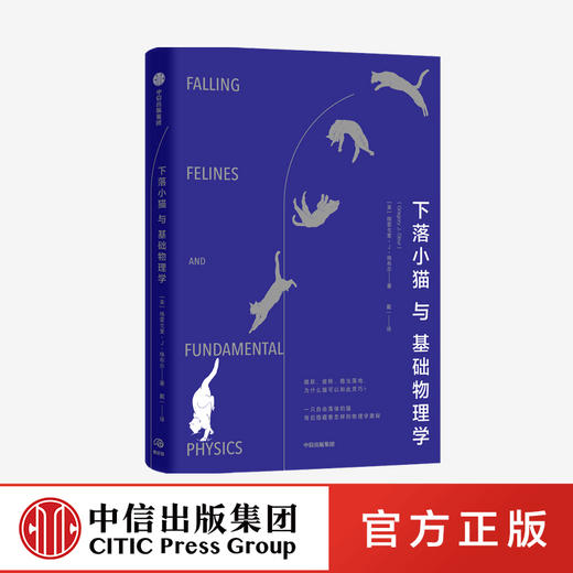 下落小猫与基础物理学 格雷戈里J格布尔 著  基础物理学 物理学研究报告 中信出版社图书 正版 商品图0